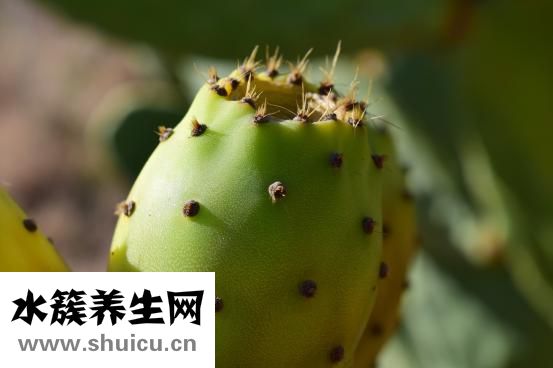 中秋節為什么吃月餅