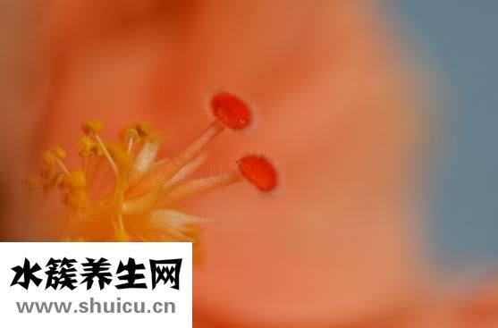 凍瘡怎么辦