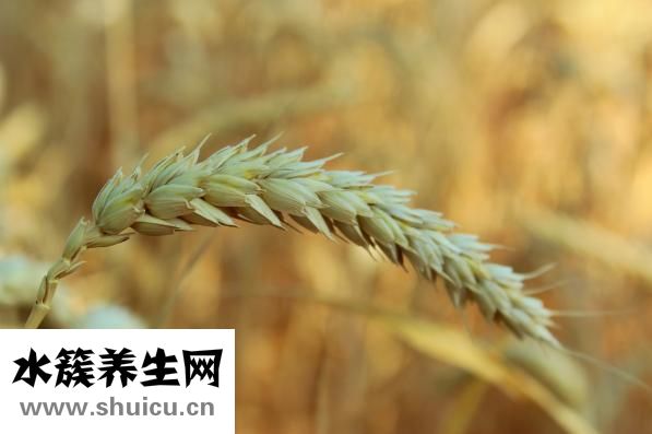 立春是什么時候