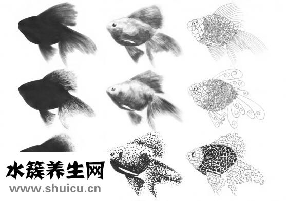 如何化眼妝