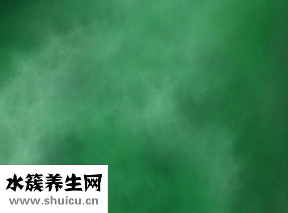 綠活泉怎么樣