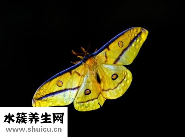 女教練怎么樣