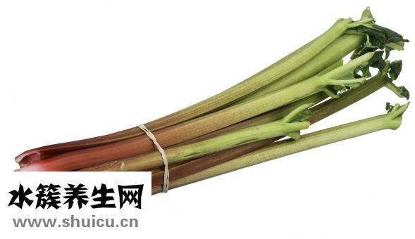 如何安全減肥