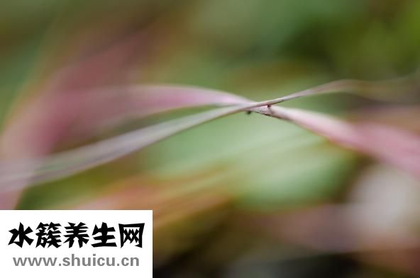 你能堅持多久