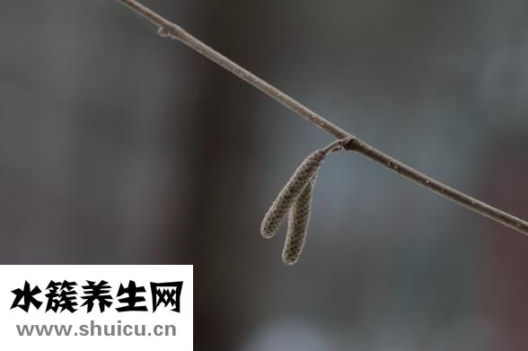 骨性關節炎吃什么藥