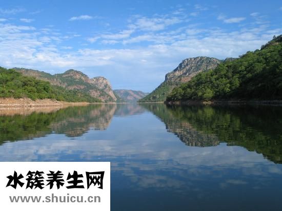 怎么樣分辨白癜風