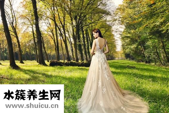 韋應物是哪個朝代的