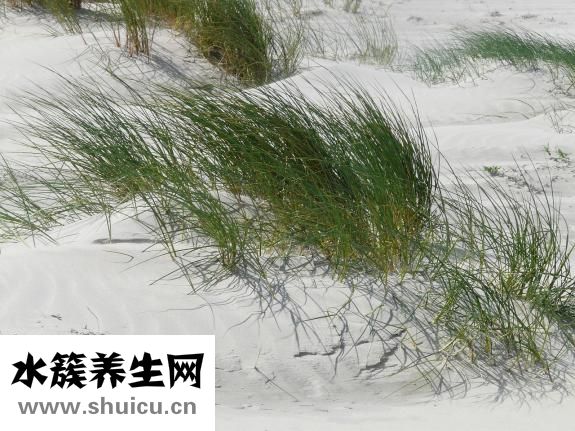 章一新怎么樣