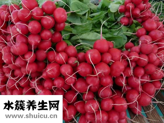崔火仙怎么樣