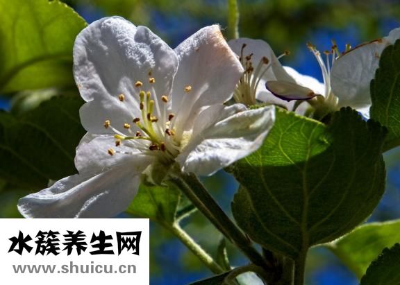 割眼袋怎么割