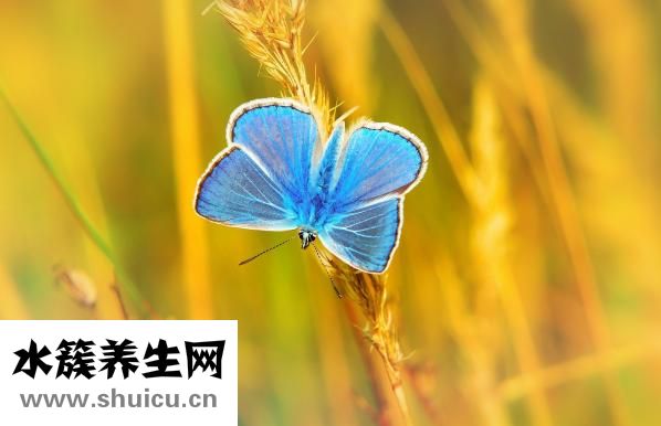 不激勵會怎么樣
