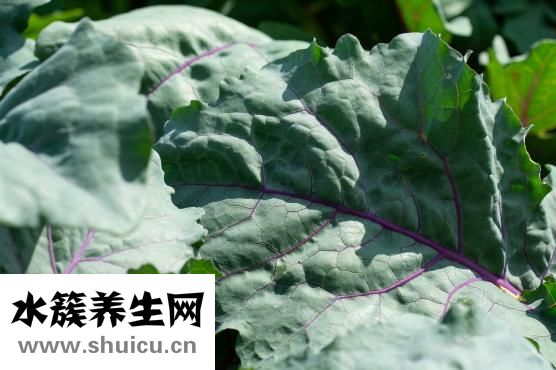 恩蘭朵怎么樣
