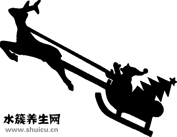 老年人吃什么奶粉好