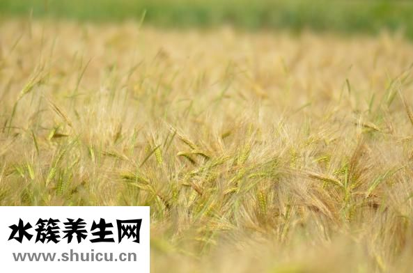 冬至什么時候