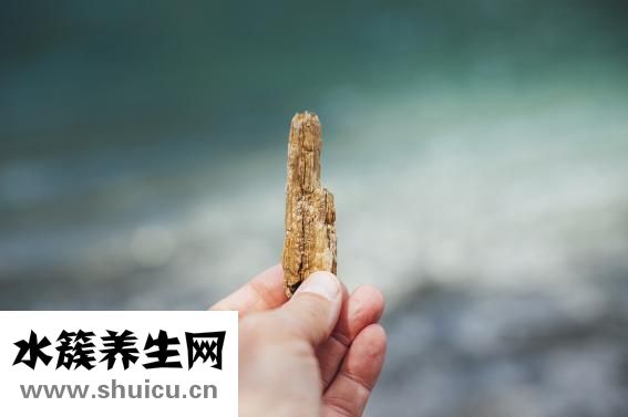 味全怎么樣