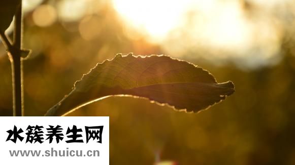 怎么樣曬太陽補鈣