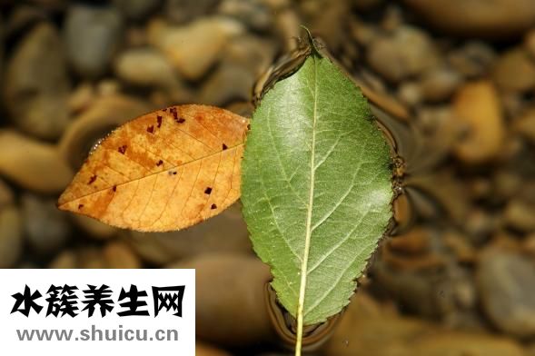冬至什么時候