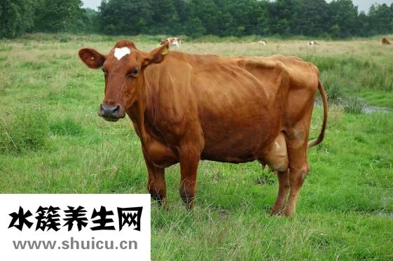 寶寶拉肚子了怎么辦
