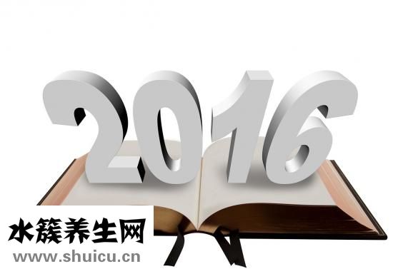 節固力怎么樣