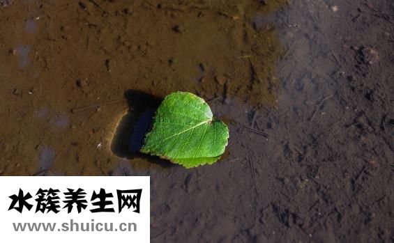 怎么樣的污垢