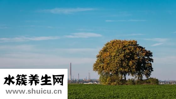 什么叫環境