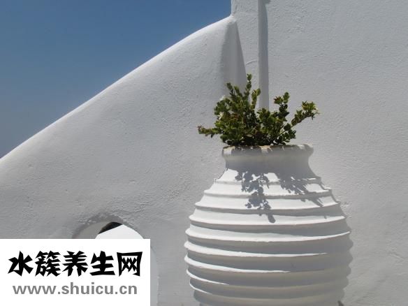 如何強身健體