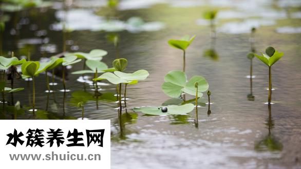 如何易水上