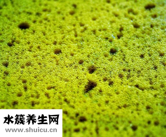 什么鎖沒有孔