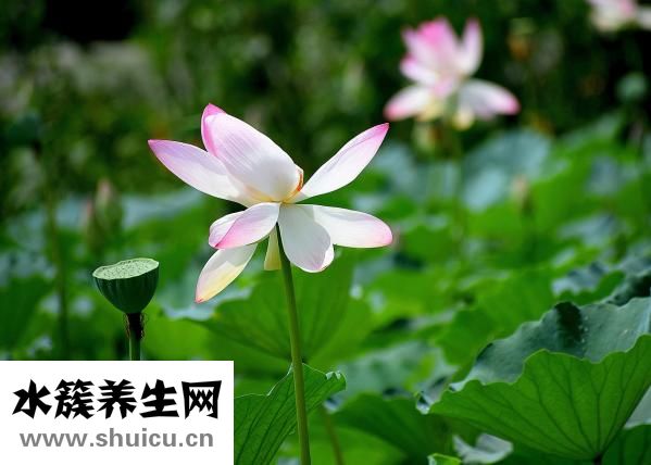 掛號信怎么收