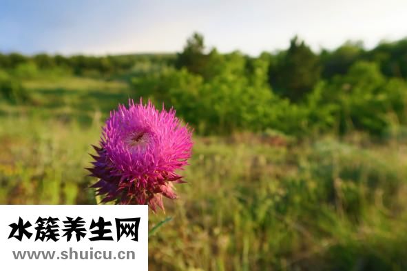 怎么減肥豐胸