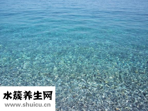 地貧是什么