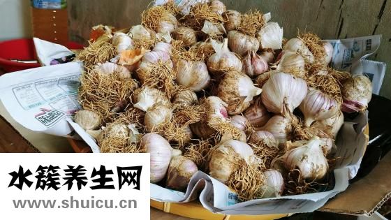 干咳吃什么好的快