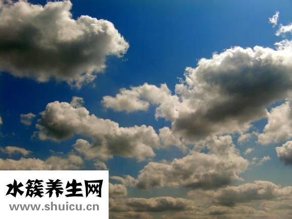 伯特萊怎么樣