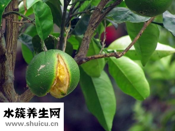 醉酒后怎么辦
