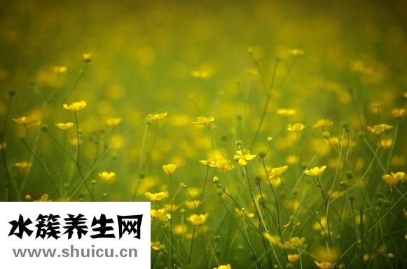 三原縣怎么樣