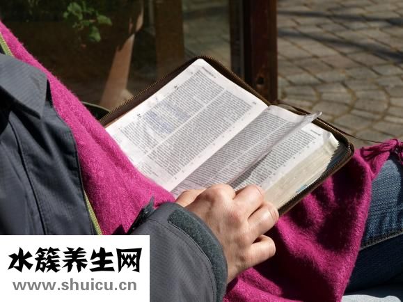 衛衣是什么