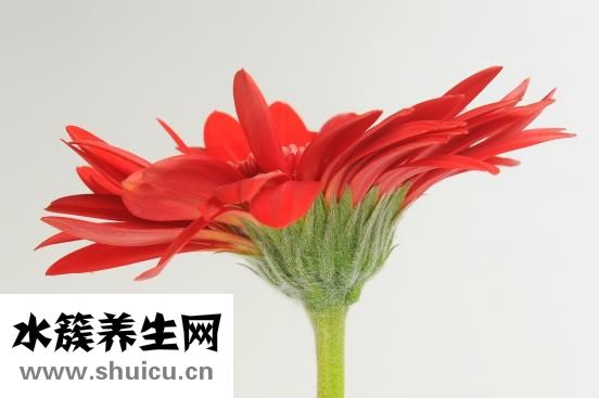 情人節送包怎么樣