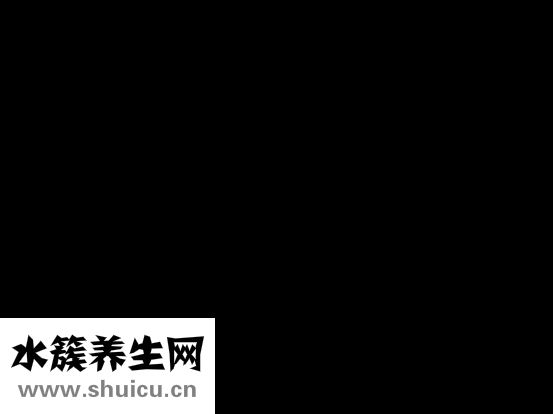 大鳥是什么