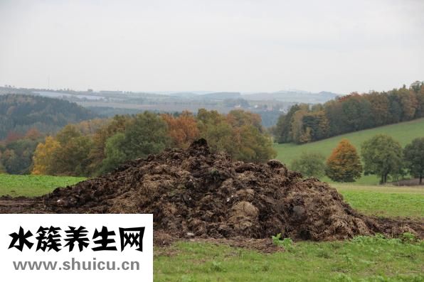 怎么樣做肥料