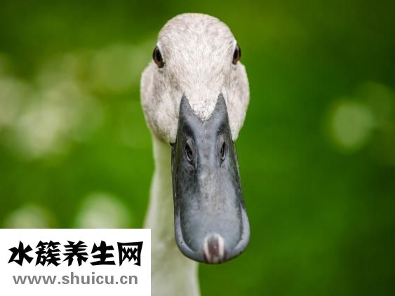 中風流涎怎么樣治療