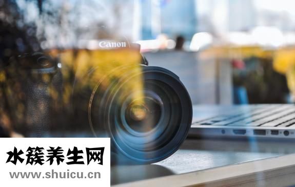 衛衣是什么