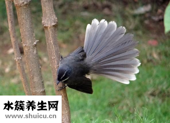 如何辦理結婚證