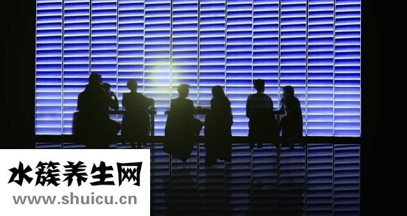 什么是白殿瘋