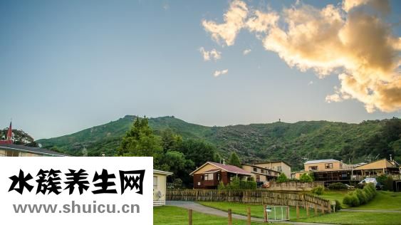 新洲人怎么樣