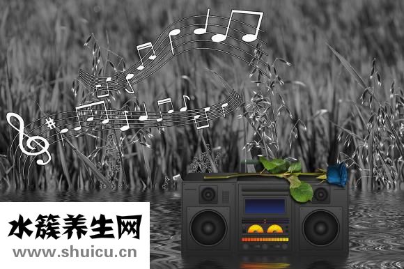怎么樣快速涼血