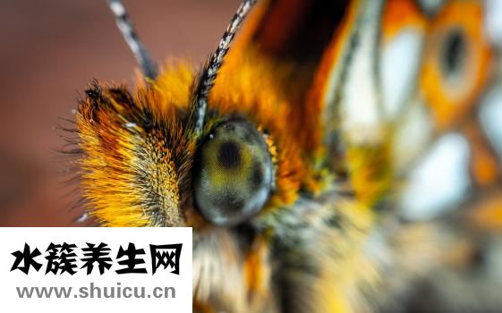 粗心怎么辦