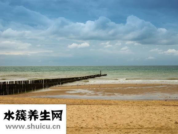 香榧是什么