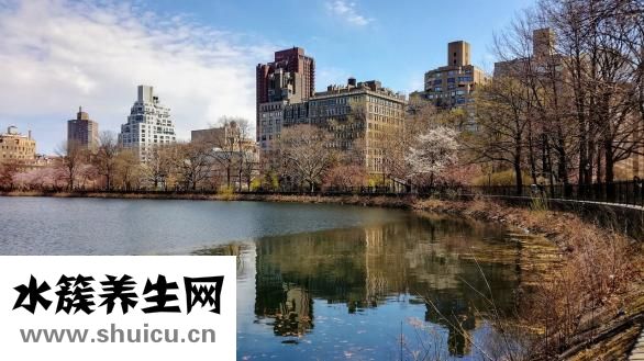 鞍鋼怎么樣