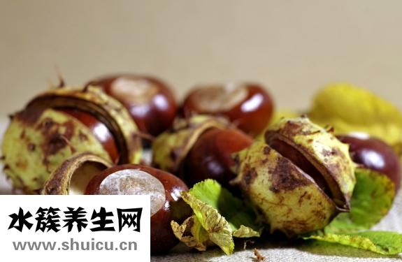 板栗怎么保存