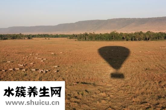 按摩枕怎么樣